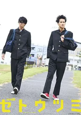 宁静海域的诗意探索：《濑户内海》魅力解读