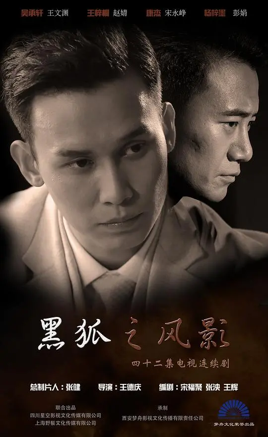 《黑狐之风影》影评：谍战风云再起，看英雄如何炼成