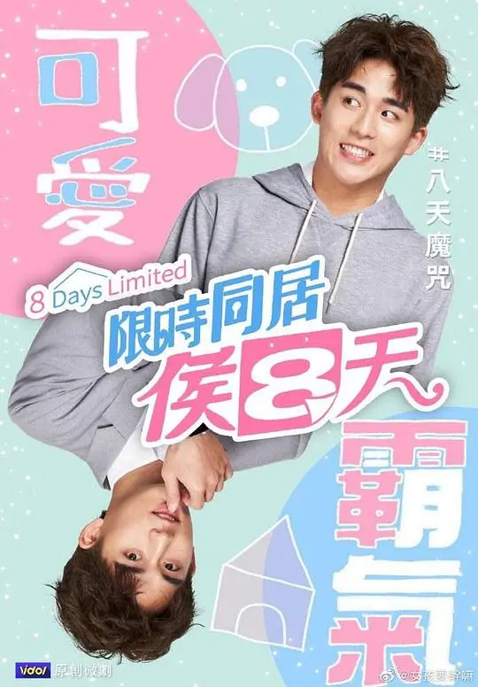 《限时同居候八天》：当爱情撞上倒计时，爆笑又暖心的同居物语！