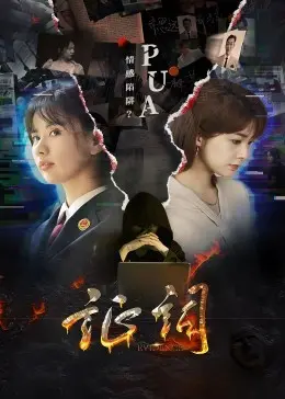 《证词》：一场关于救赎与真相的审判，爱与责任的终极拷问！