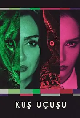 《直线篡位》：权力游戏下的暗流涌动，看主人公如何一步步撕碎虚伪皇权！